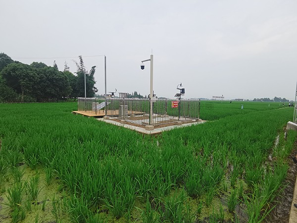 耕地質(zhì)量綜合監(jiān)測點(diǎn)，邛崍現(xiàn)代農(nóng)業(yè)的新探索和...