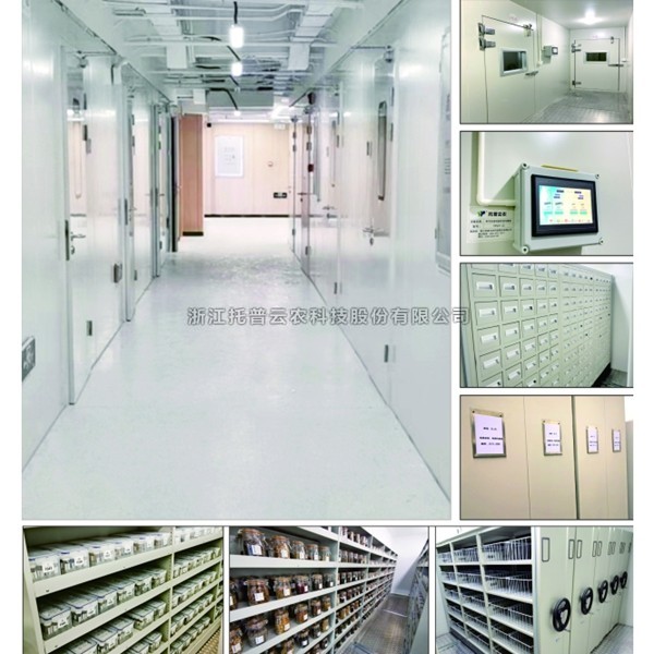 農(nóng)作物種質(zhì)資源庫介紹