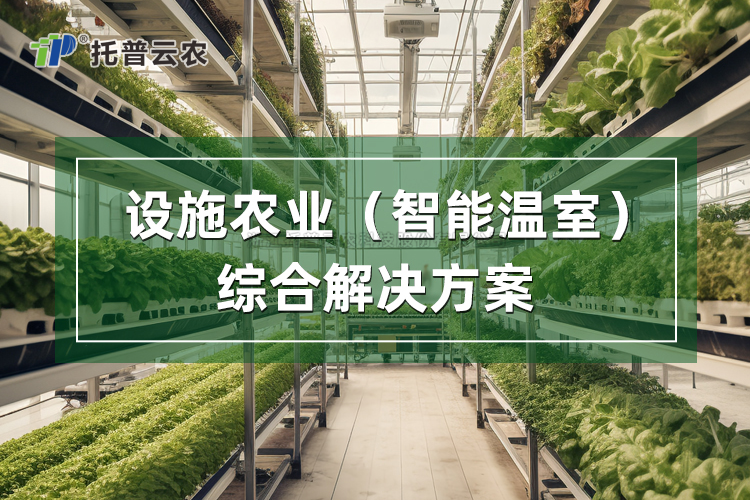 設施農業(yè)綜合解決方案