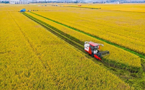 案例分享|托普在高標準農(nóng)田建設(shè)上都做了什么？