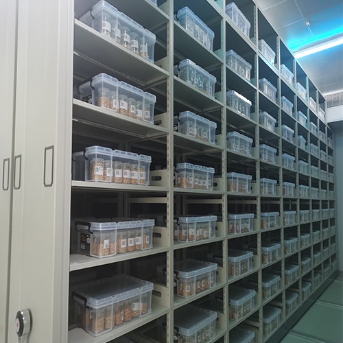 種質(zhì)資源復(fù)份長期庫/