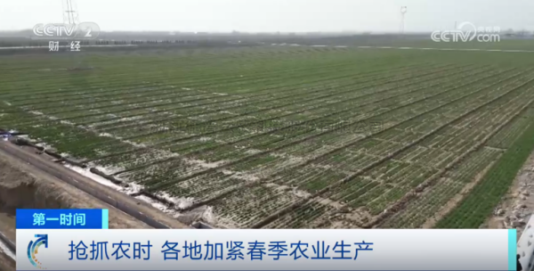 心系糧安、山田無阻、服務有恒|托普云農2025年智能裝備巡檢服務全面啟動