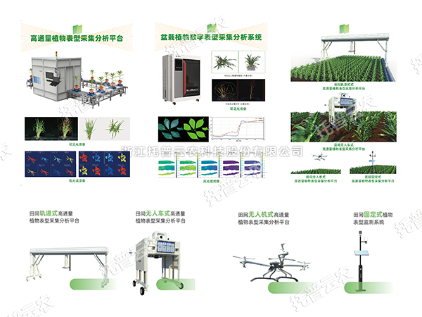 AI+農(nóng)業(yè)新突破！托普高通量植物表型智能分析平臺(tái)助力智慧農(nóng)業(yè)創(chuàng)新發(fā)展