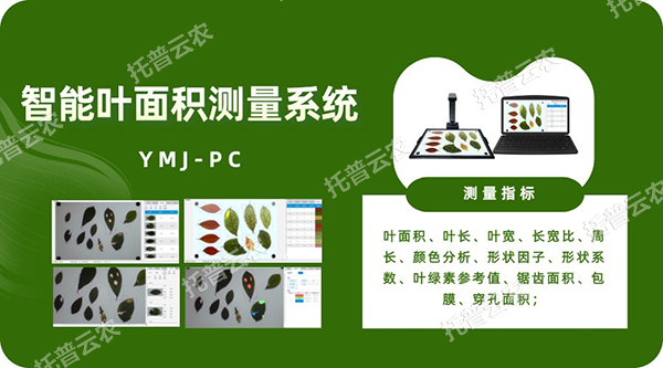 智能葉面積測量系統(tǒng)——秒級快速測葉片，多參數(shù)同步解析，云端數(shù)據(jù)好管理