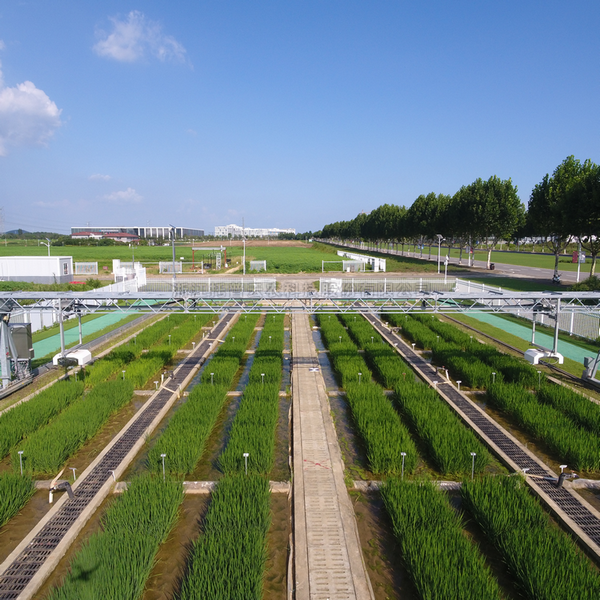 龍門式高通量表型采集分析平臺（地軌式）TPN-GTL-GT1