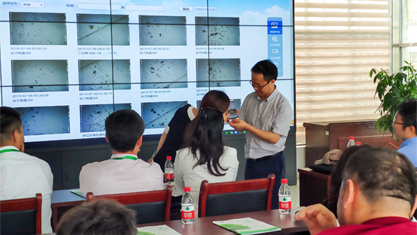  朱旭華副總經(jīng)理與代表們圍繞蟲情測報(bào)深入交流