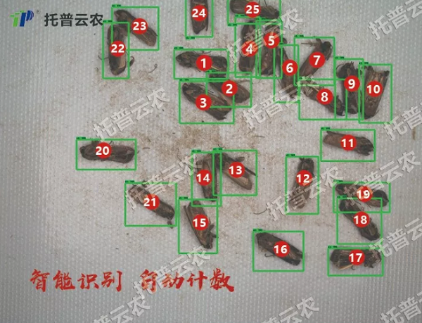 識(shí)別計(jì)數(shù) 識(shí)別計(jì)數(shù)