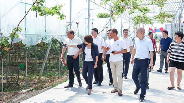 參觀大棚智能控制系統(tǒng) 參觀大棚智能控制系統(tǒng)