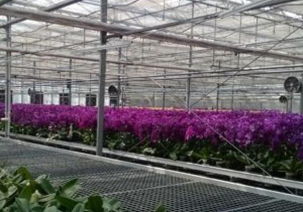 設(shè)施農(nóng)業(yè) 設(shè)施農(nóng)業(yè)