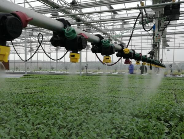 設(shè)施農(nóng)業(yè) 設(shè)施農(nóng)業(yè)