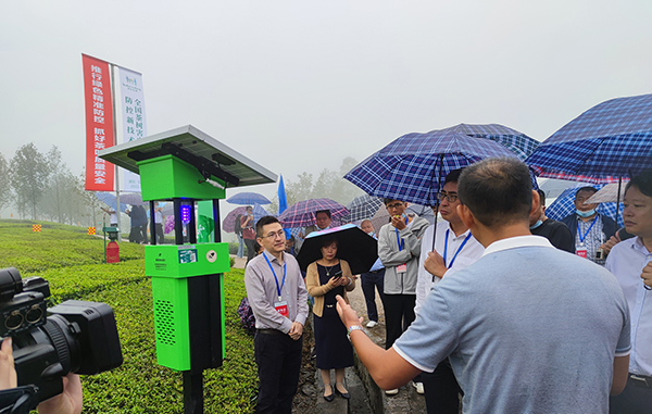 中國(guó)農(nóng)業(yè)科學(xué)院孫坦副院長(zhǎng)觀摩茶園殺蟲(chóng)燈綠色防控