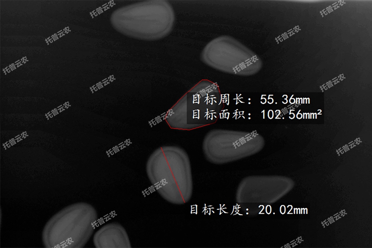 1666056520148760.jpg 750(6).jpg