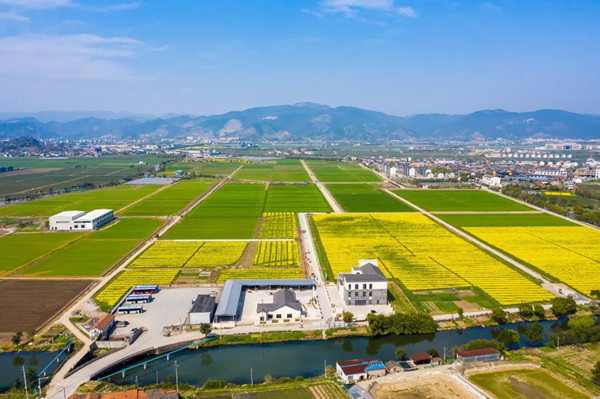 托普云農：數(shù)字技術進田間 激活產業(yè)“共富密碼”