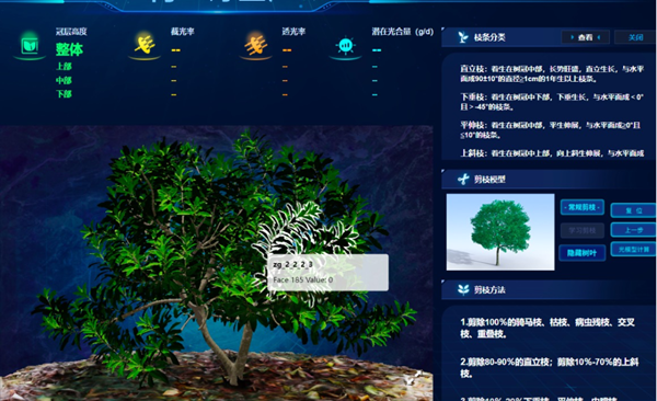 “云”上種顆楊梅樹，農(nóng)戶照著養(yǎng)楊梅