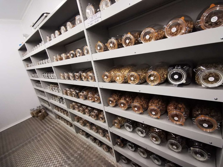 種質(zhì)庫(kù)