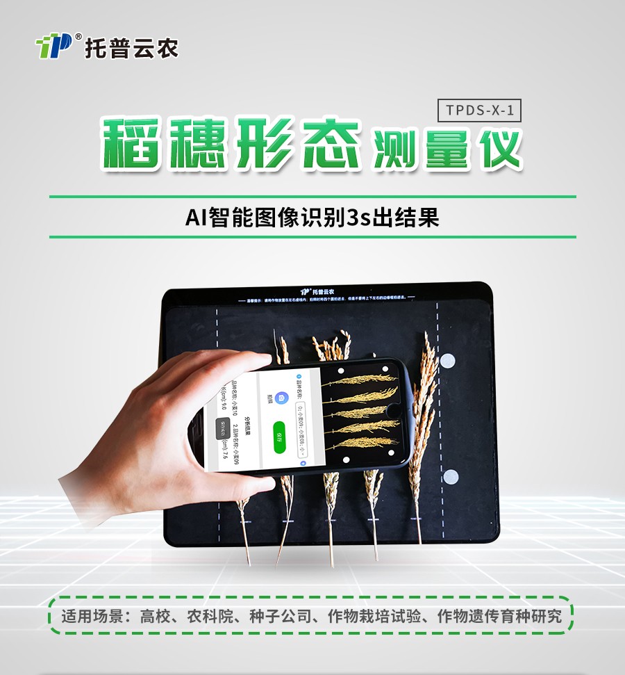 稻穗形態(tài)測(cè)量?jī)x 稻穗形態(tài)測(cè)量?jī)x
