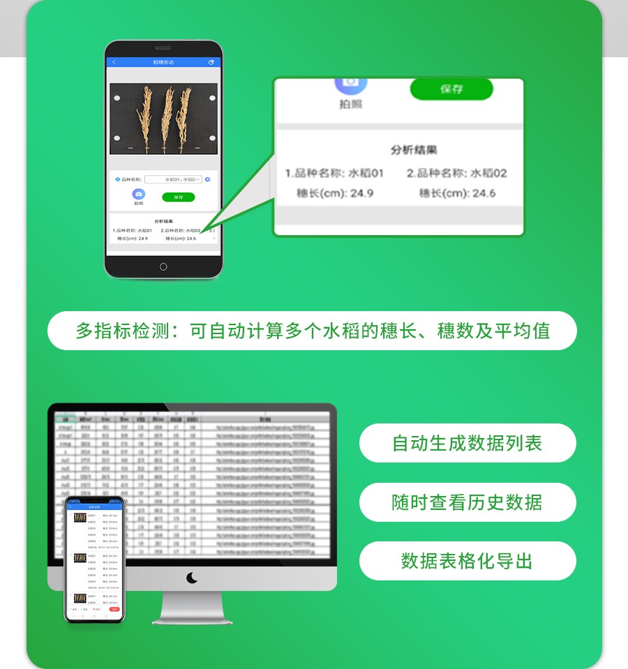 稻穗形態(tài)測(cè)量?jī)x 稻穗形態(tài)測(cè)量?jī)x