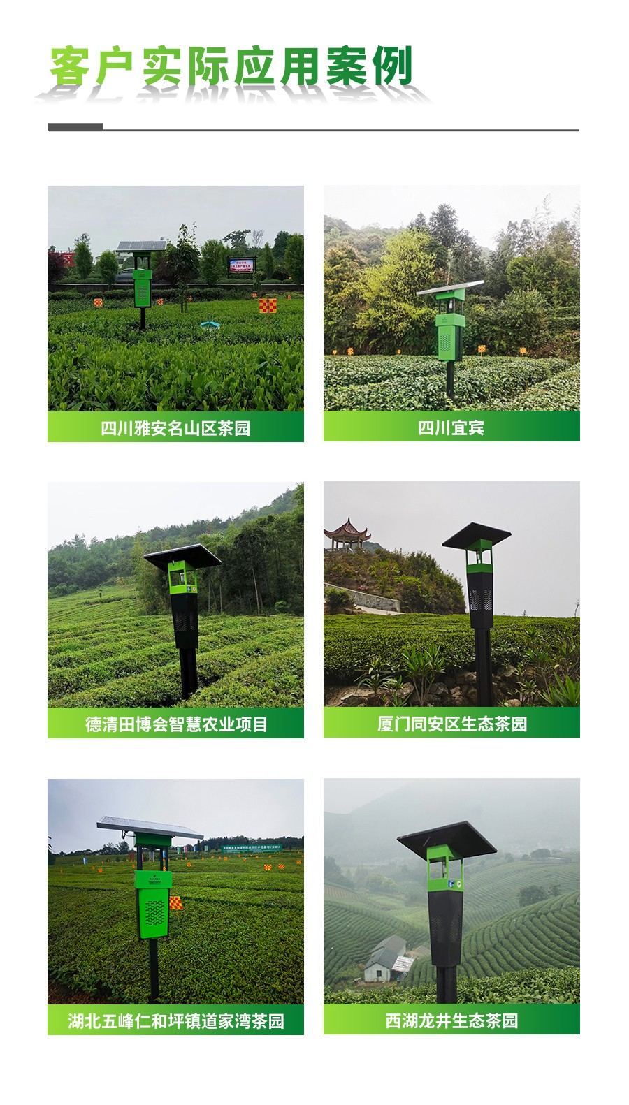 風吸式茶園殺蟲燈 風吸式茶園殺蟲燈