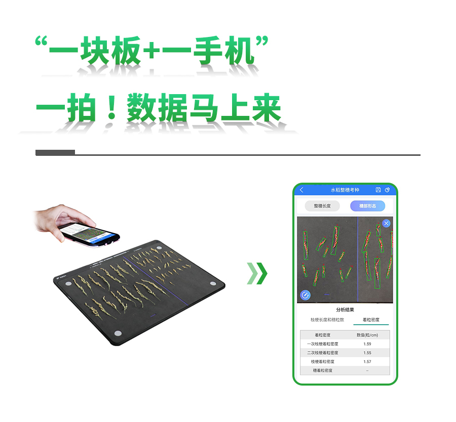 水稻整穗考種測(cè)量系統(tǒng) 水稻整穗考種測(cè)量系統(tǒng)