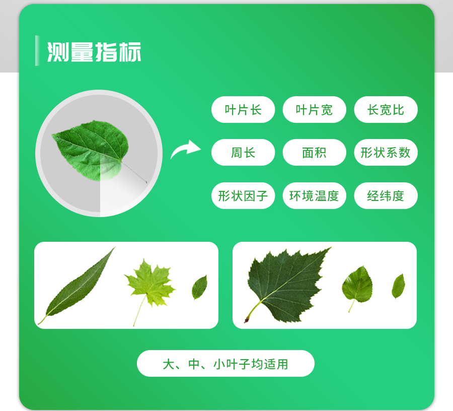 活體葉面積測量儀 活體葉面積測量儀