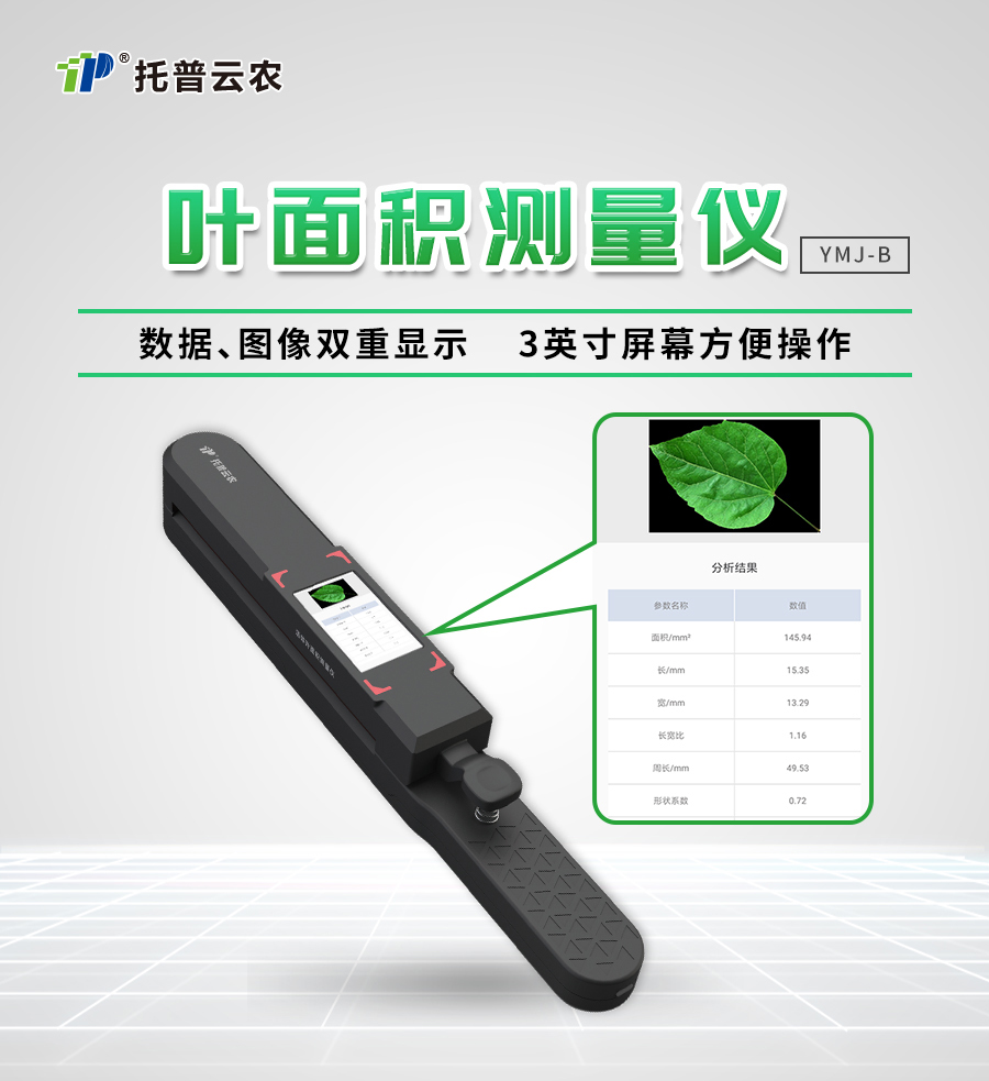 活體葉面積測量儀 活體葉面積測量儀