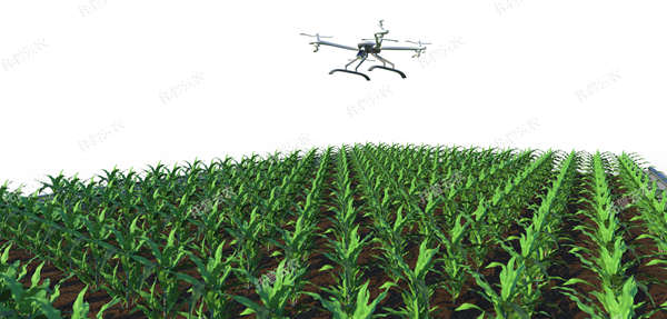 1722997194721459.png 田間無人機(jī)式植物高通量表型采集分析平臺_600.png