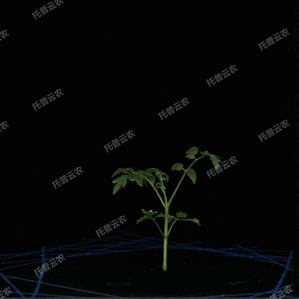 1723434800642713.gif 1723434800642713.gif