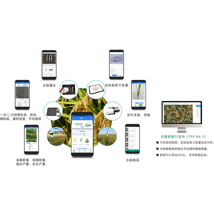 1756428141604405.png 水稻表型檢測系統(tǒng)TPS-BX-2.png