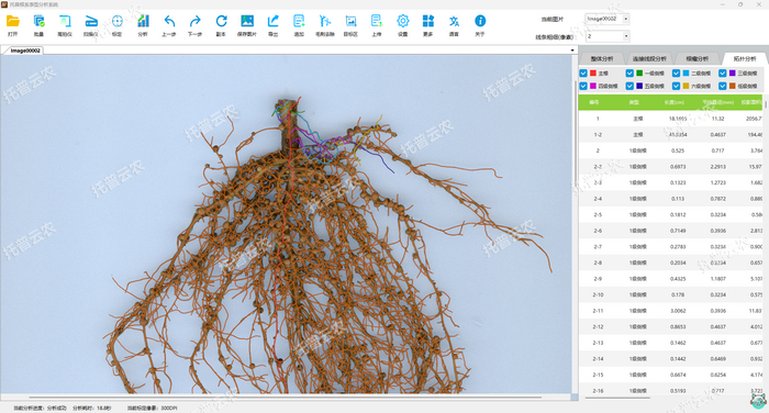 1757053232699823.png 花生-拓?fù)浞治?png