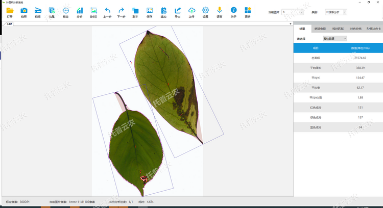 葉面積分析1.png