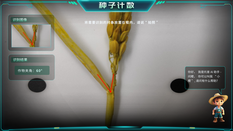 1768268162419348.png 作物夾角.png