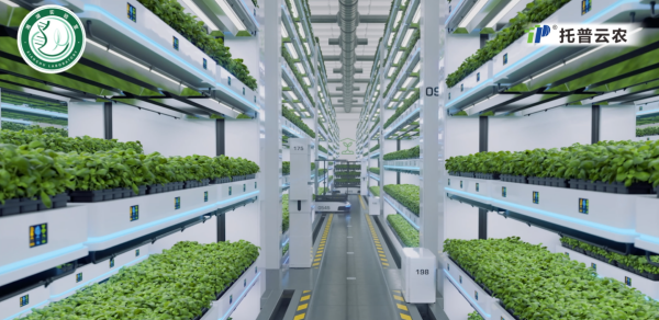 1769158701707555.png 圖片4_副本.png