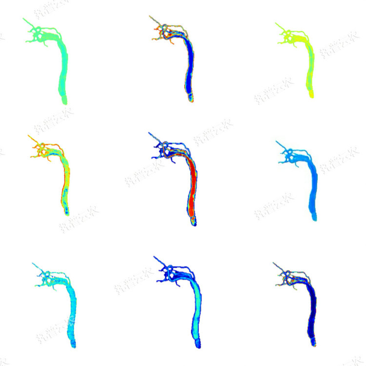 1770198585360590.jpg 3.JPG