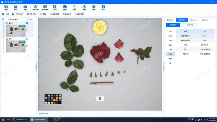 1770709623461209.jpg 莖.jpg